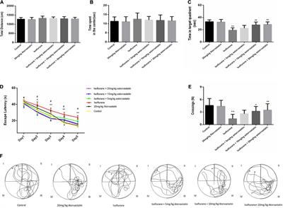 Atorvastatin Attenuates Isoflurane-Induced Activation of ROS-p38MAPK/ATF2 Pathway, Neuronal Degeneration, and Cognitive Impairment of the Aged Mice